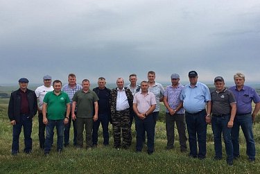 День поля объединил аграриев области